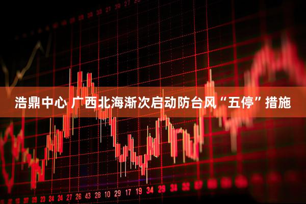 浩鼎中心 广西北海渐次启动防台风“五停”措施