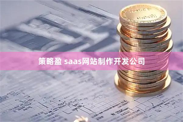 策略盈 saas网站制作开发公司